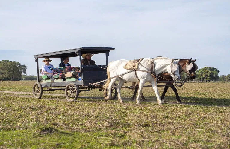 Pousada Pequi Pantanal (16)