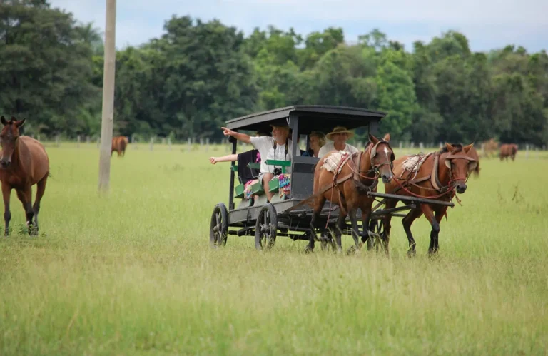 Pousada Pequi Pantanal (17)