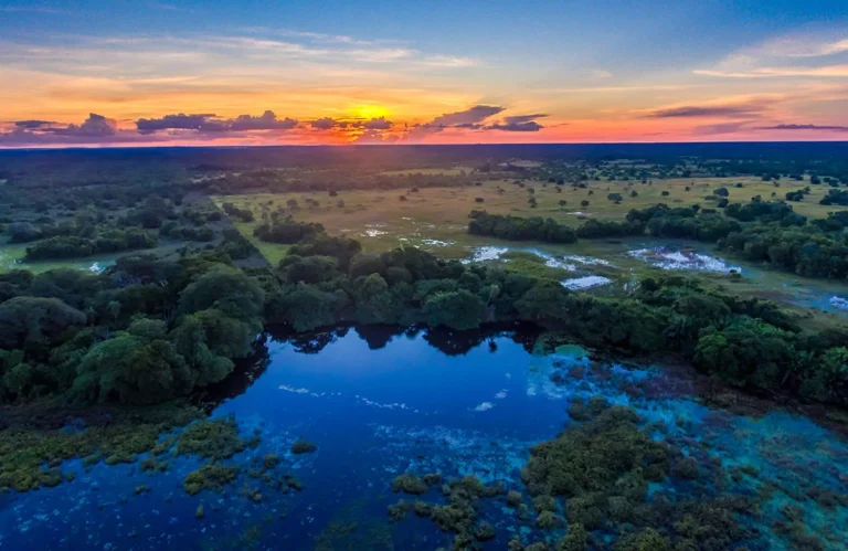 Pousada Pequi Pantanal (21)