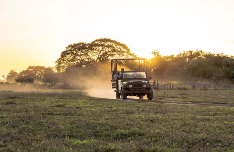 Pousada Pequi Pantanal (27)