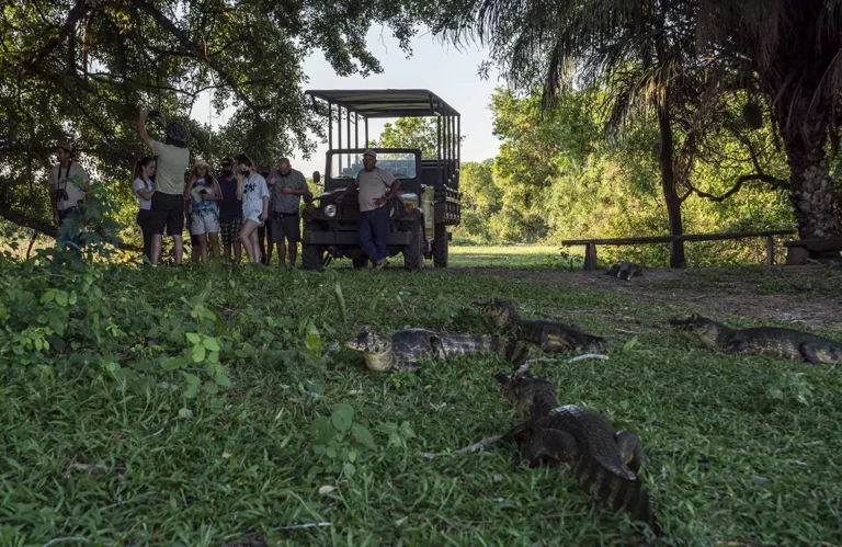 Pousada Pequi Pantanal (29)