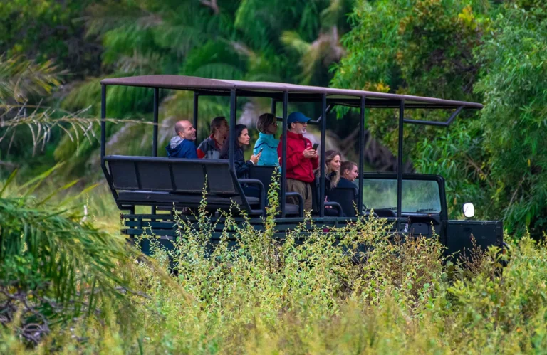 Pousada Pequi Pantanal (33)