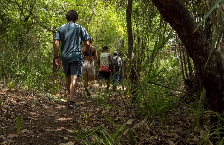 Pousada Pequi Pantanal (36)