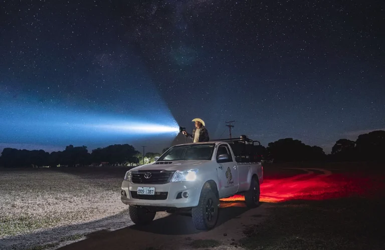 Pousada Pequi Pantanal (61)
