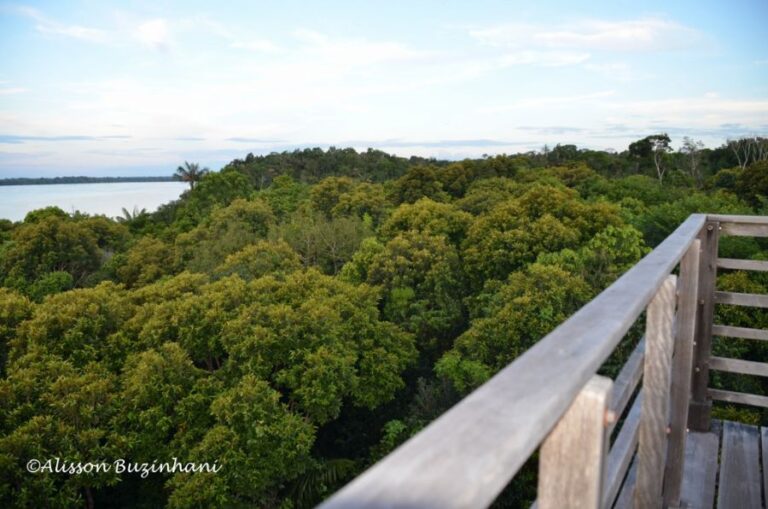 ecoadventures-hospedagem-70-amazon_MD-112218