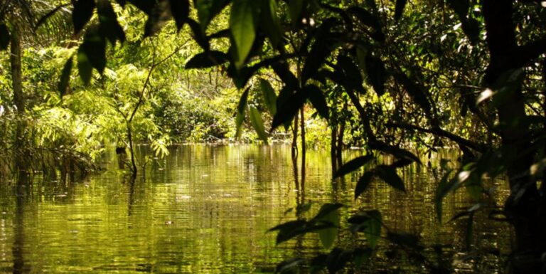 ecoadventures-hospedagem--iberostar-grand-hotel-amazon-zone-2_GD-