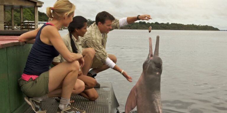 ecoadventures-hospedagem--iberostar-grand-hotel-dolphin-excursion-2_GD-