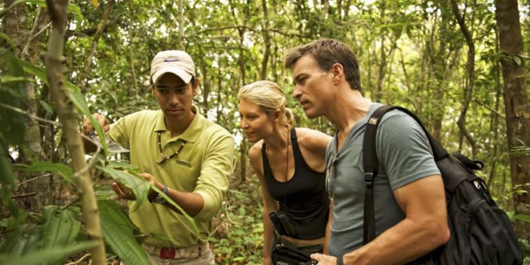 ecoadventures-hospedagem--iberostar-grand-hotl-amazon-jungle-excursion_GD-