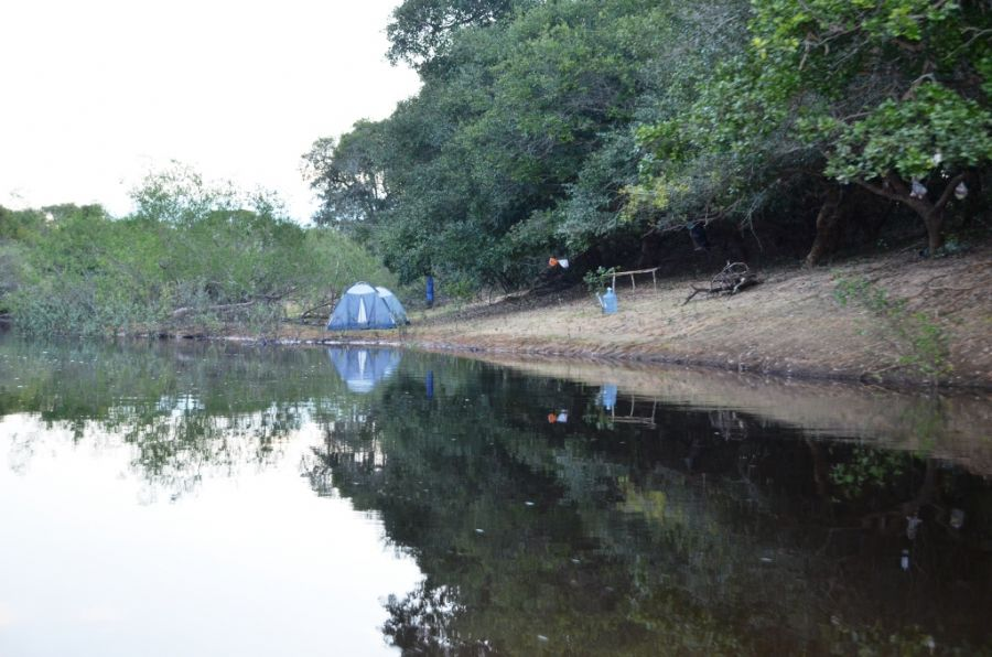 Passeios no Pantanal: 8 Lugares Que Vale a Pena Incluir no Roteiro