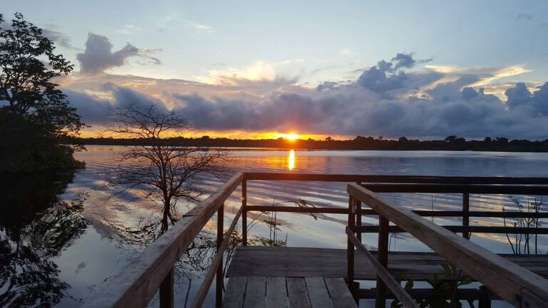 19510364_1971163946446603_7868363739061244209_n