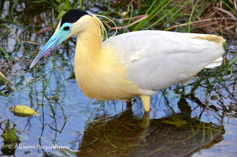 ????????????????????????????????????