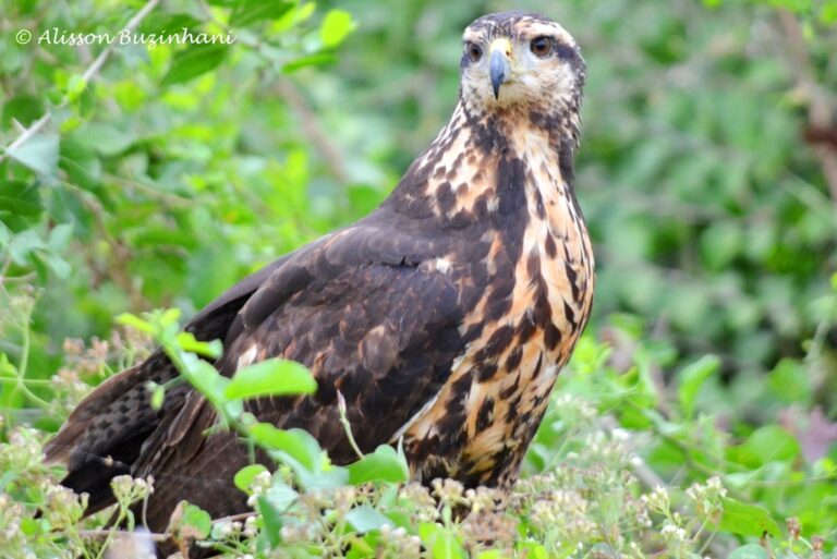 ????????????????????????????????????