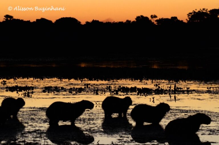 ????????????????????????????????????