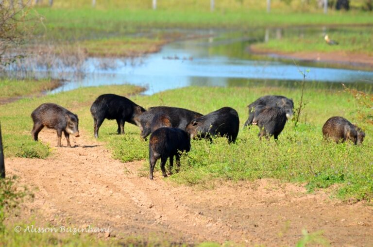 ????????????????????????????????????