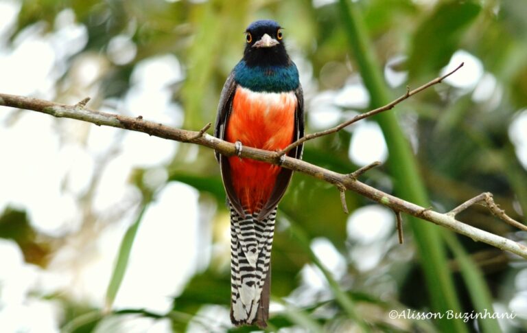 ????????????????????????????????????