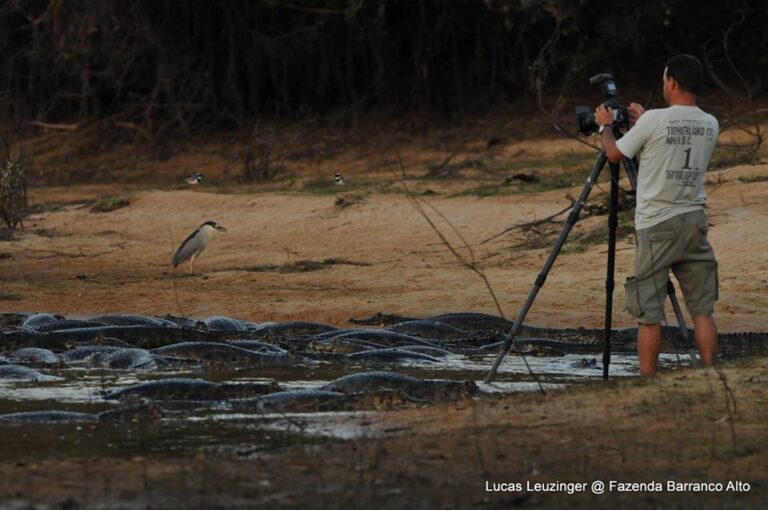 12109138_842287309221942_5612474107777857461_n