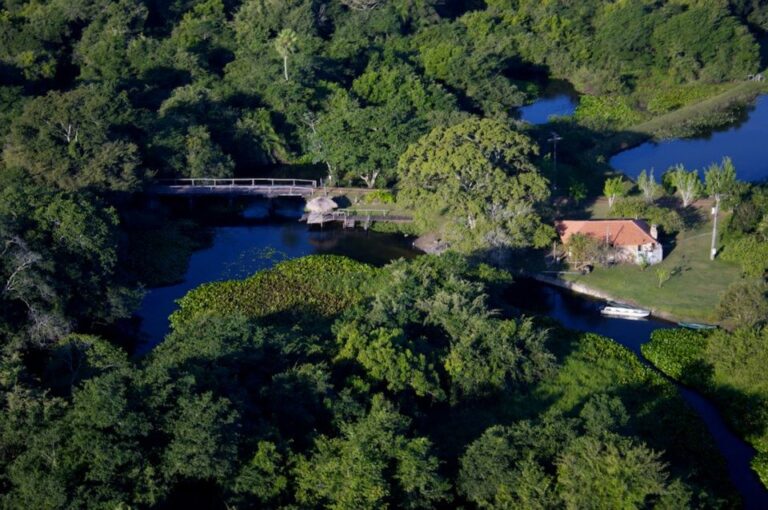 297059_258269514223875_927213177_n