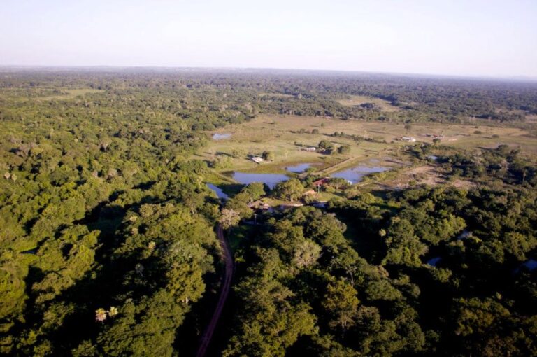 305339_258269337557226_1318070873_n