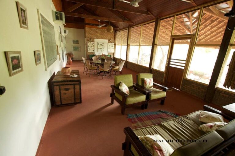 381581_258235250893968_1240917504_n