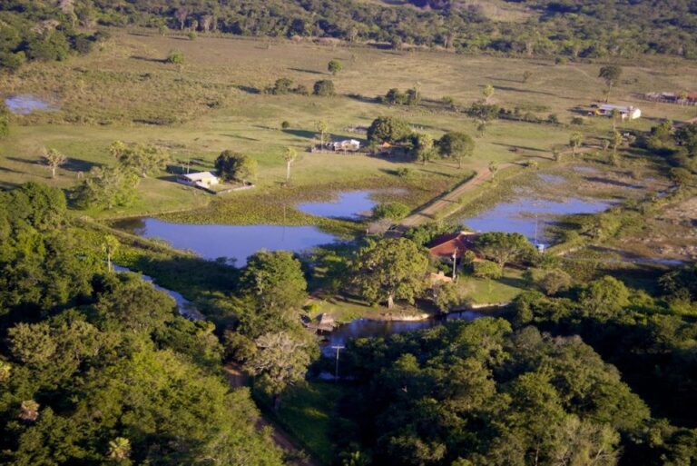 382683_258269947557165_1521866695_n