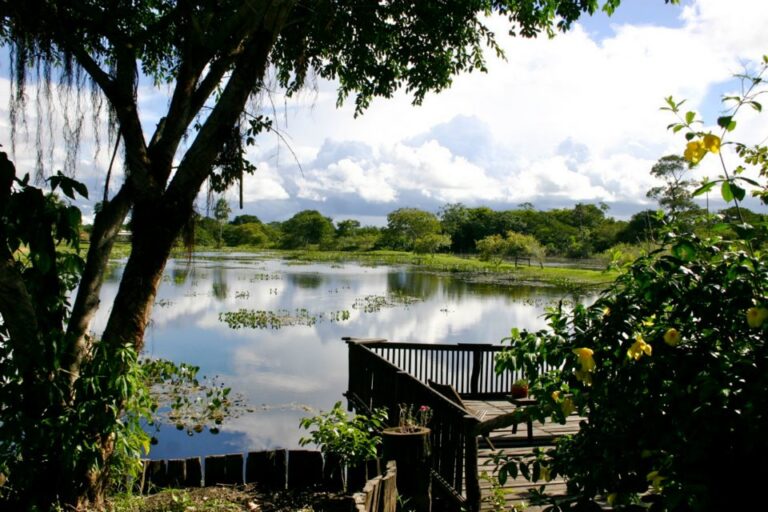 525544_299133646834161_183555687_n