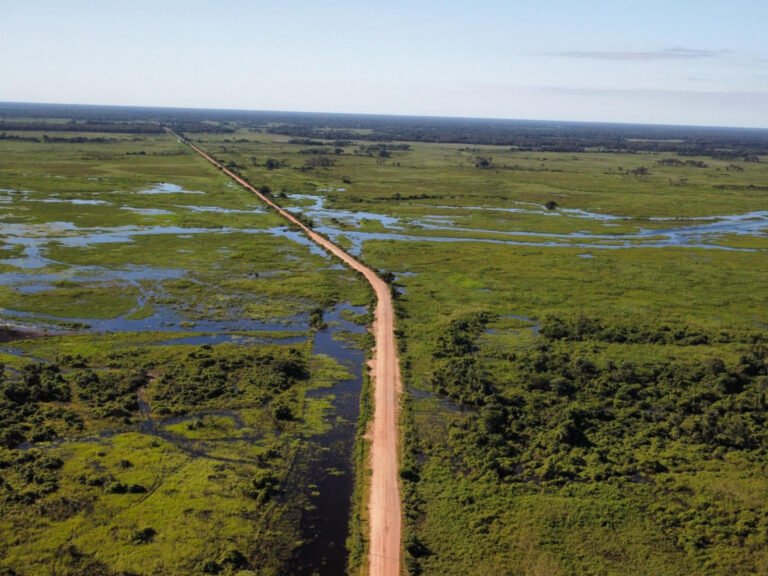 Aérea Pantanal 01