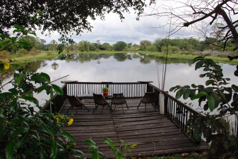 ????????????????????????????????????