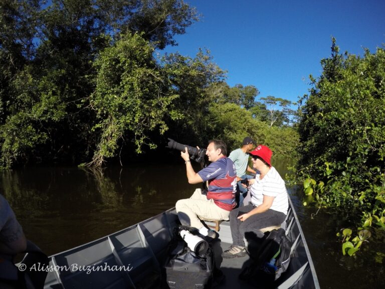 DCIM100GOPROGOPR2264.