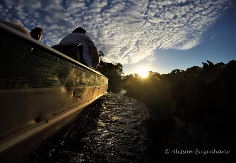 DCIM100GOPROGOPR2322.