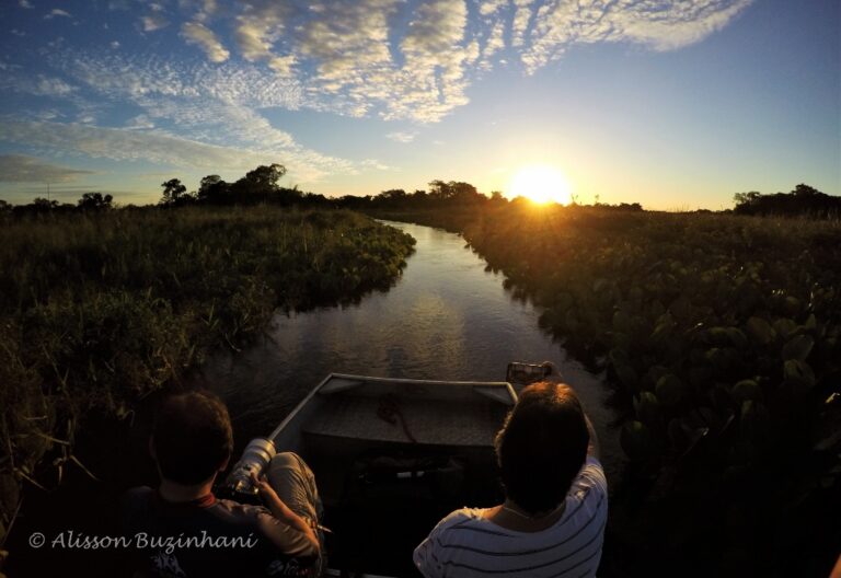 DCIM100GOPROGOPR2334.