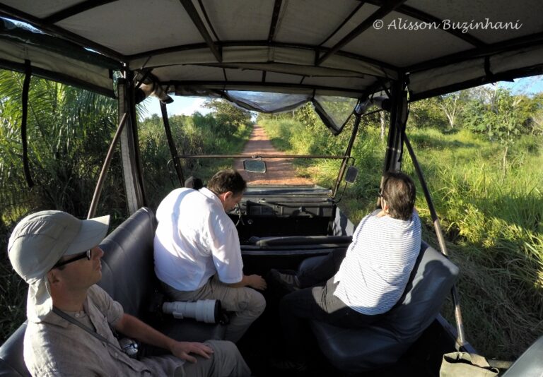 DCIM100GOPROGOPR2390.