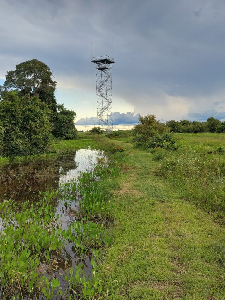 Pouso Alegre Pantanal (9)