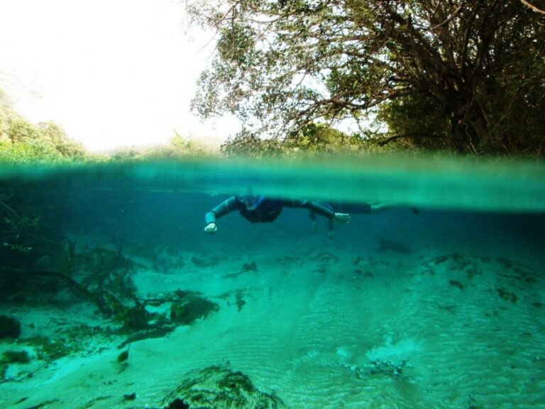 ecoadventures-atrativo-100-DSC01920_GD-