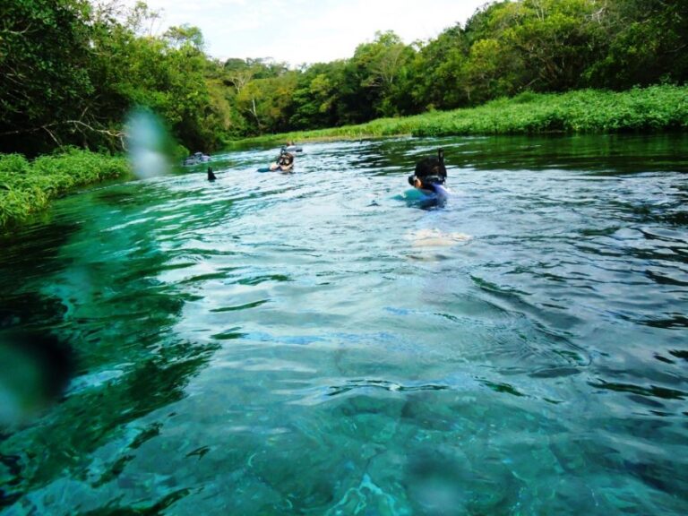 ecoadventures-atrativo-100-DSC04715_GD-