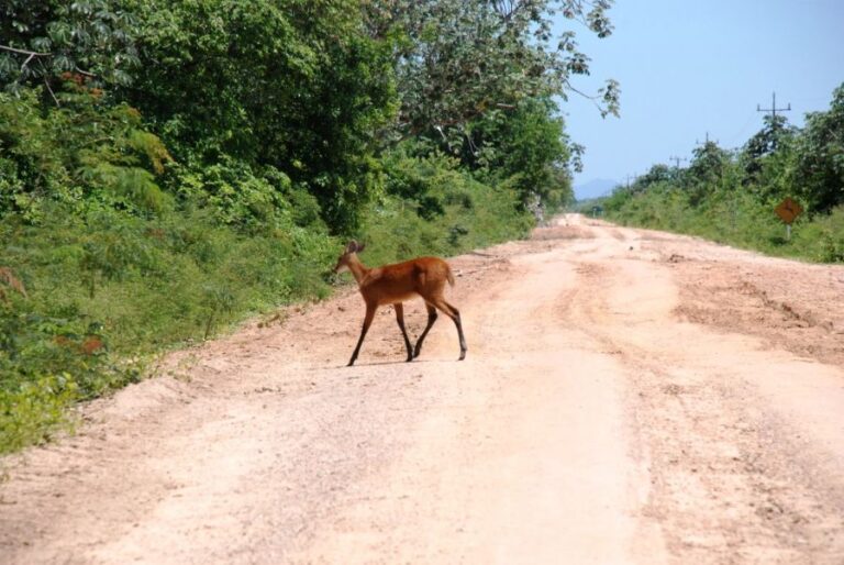 ecoadventures-atrativo-100-DSC_0208_GD-