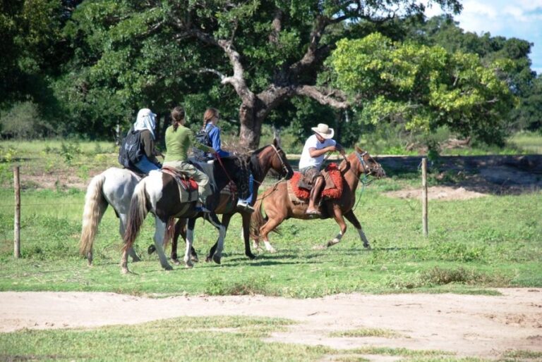 ecoadventures-atrativo-100-DSC_0895_GD-