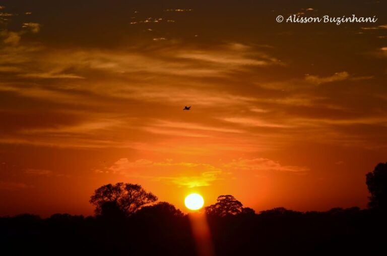 ecoadventures-atrativo-100-Eco Adventures 053_GD-