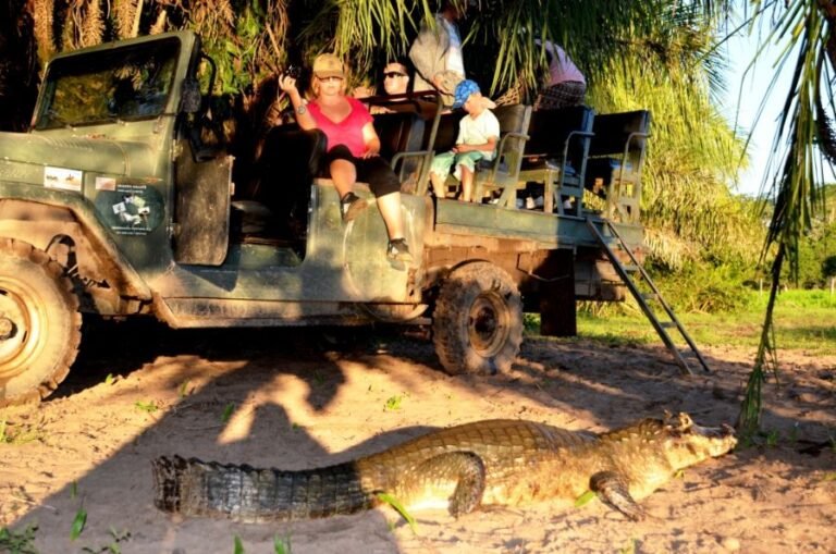 Agência de Viagens e Turismo