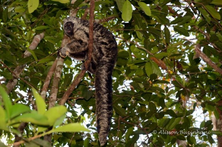 ecoadventures-atrativo-110-DSC_9211 (1024x678)_GD-