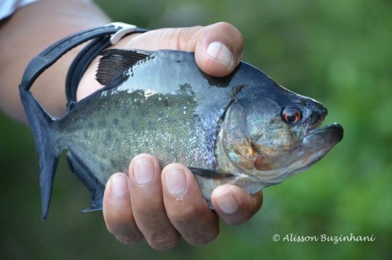 ecoadventures-atrativo-110-DSC_9456 (1024x678)_GD-