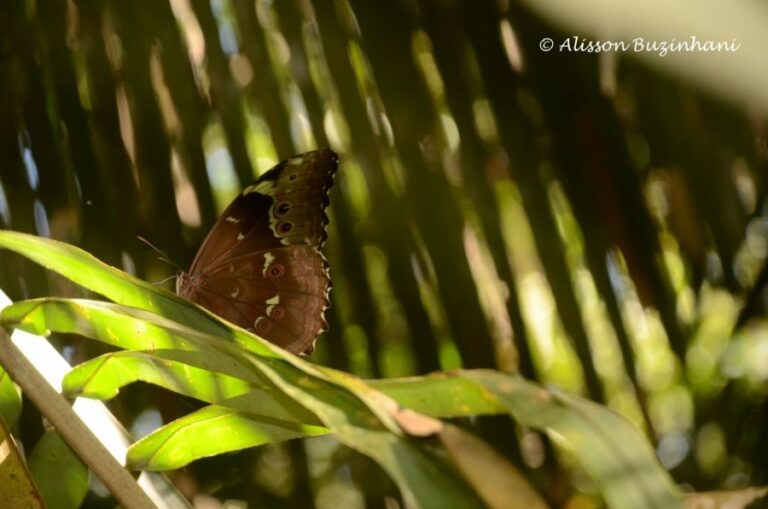 ecoadventures-atrativo-110-DSC_9787 (1024x678)_GD-