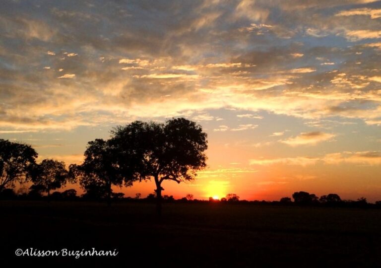 ecoadventures-atrativo-113-IMG_1160_GD-