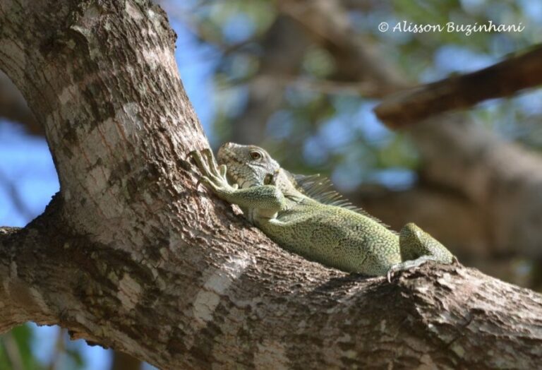 ecoadventures-atrativo-116-DSC_0010 (1024x699)_GD-