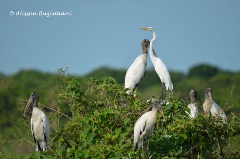 ecoadventures-atrativo-116-DSC_0027 (1024x678)_GD-