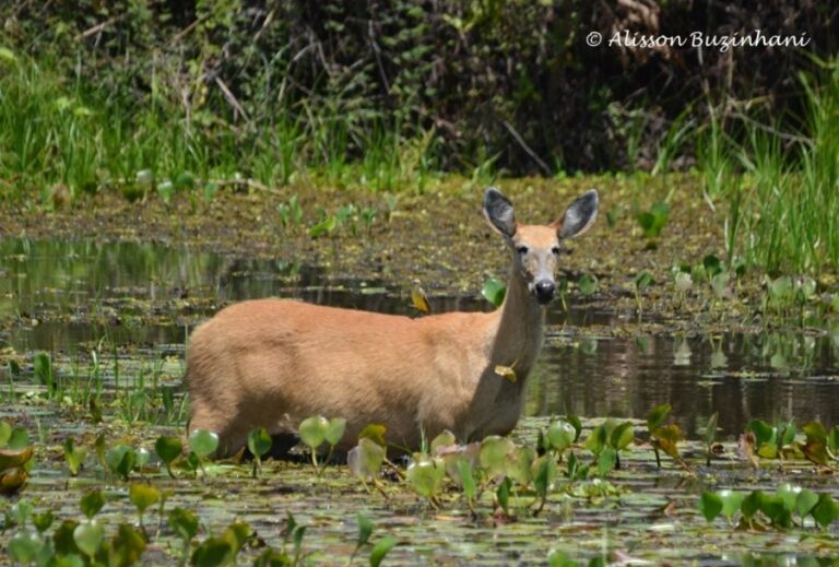 ecoadventures-atrativo-116-DSC_0896 (1024x692)_GD-