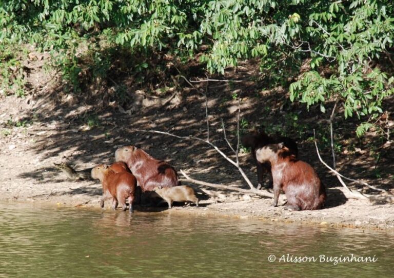 ecoadventures-atrativo-116-DSC_1355 (1024x722)_GD-