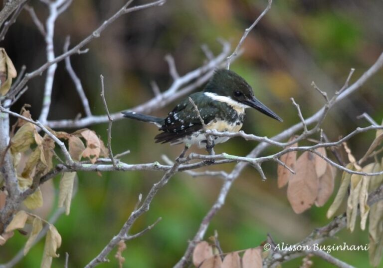 ecoadventures-atrativo-116-DSC_2760 (1024x716)_GD-