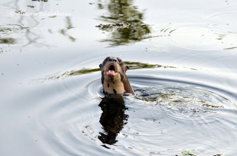 ecoadventures-atrativo-116-DSC_7112 (1024x675)_GD-