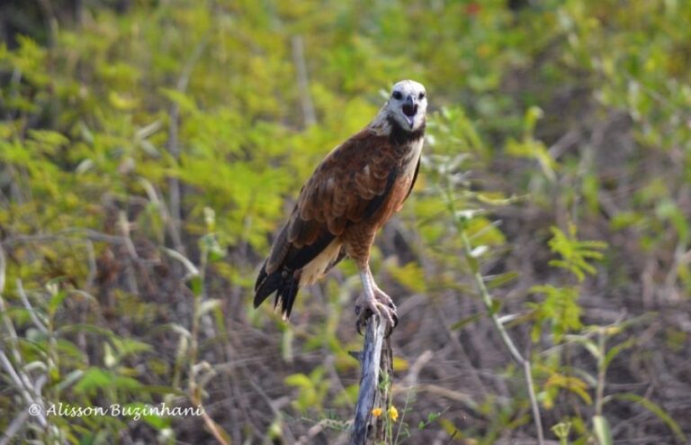 ecoadventures-atrativo-116-DSC_9726 (1024x659)_GD-