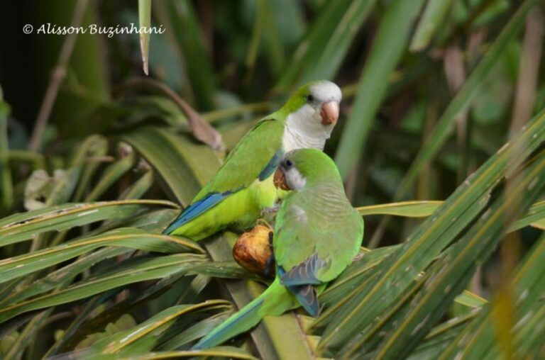 ecoadventures-atrativo-116-DSC_9800 (1024x677)_GD-